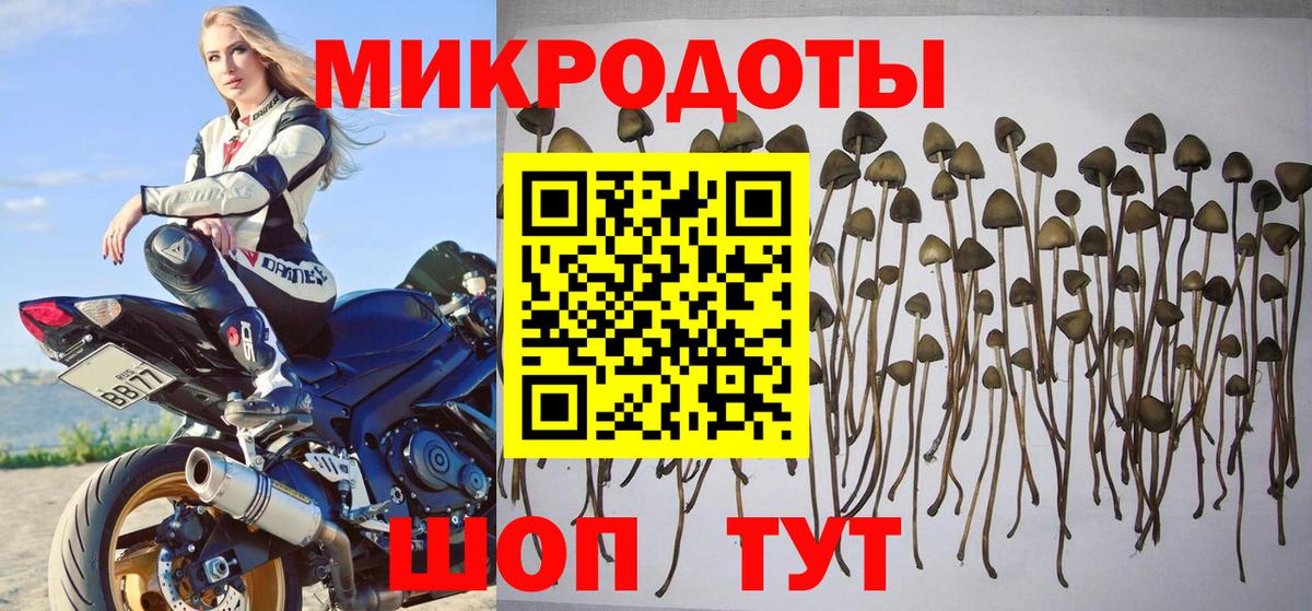 Псилоцибиновые грибы GOLDEN TEACHER Саяногорск