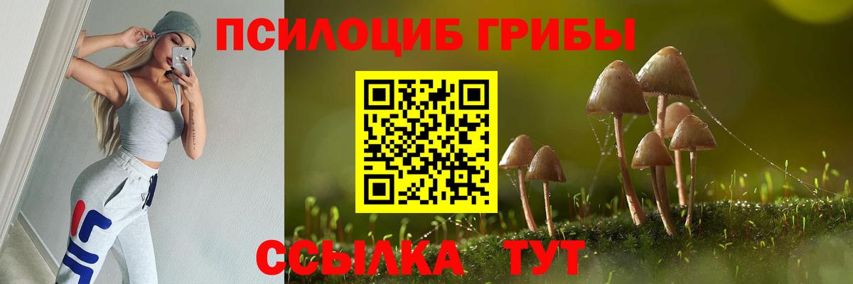 Галлюциногенные грибы прущие грибы  Вход с VPN  Псилоцибиновые грибы ЛСД  Саяногорск 