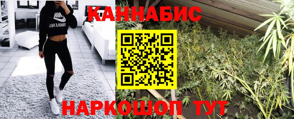 МАРИХУАНА семена Саяногорск